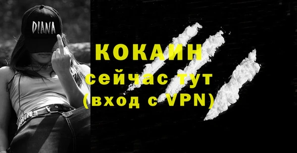 ешки Горняк