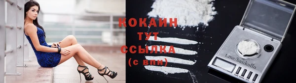 MESCALINE Гусев