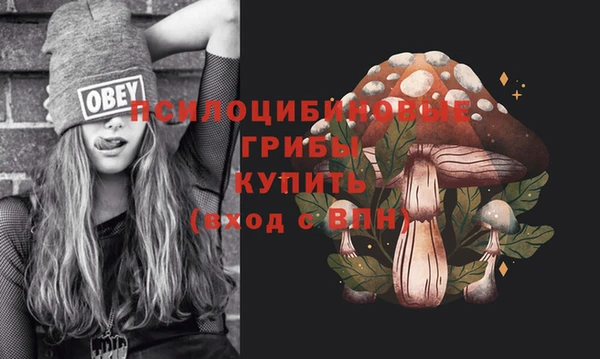 ешки Горняк