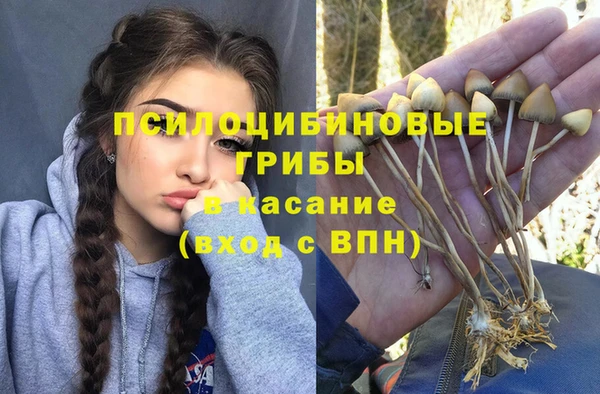 ешки Горняк