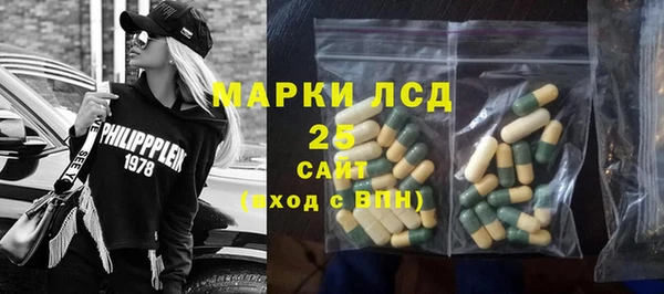 ешки Горняк