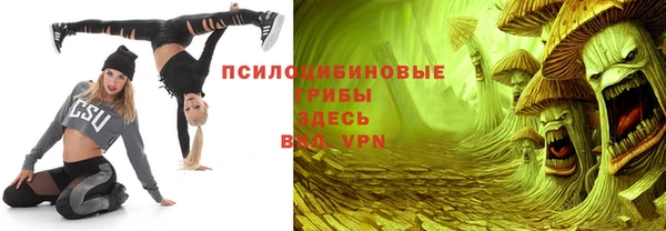 молекула духа Гусь-Хрустальный