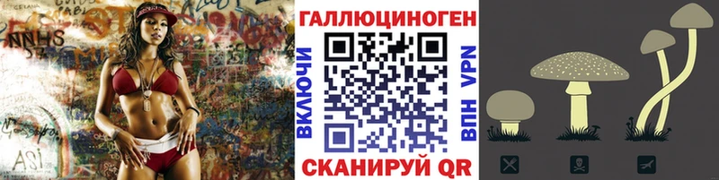 Купить где  Сегежа  Галлюциногенные грибы Magic Shrooms 